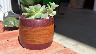 Small, Elegant Succulent Pot