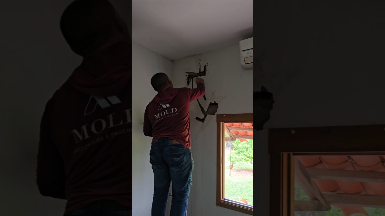 Reparo em patologias! 