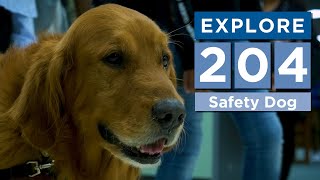Explore 204: School Safety Dog