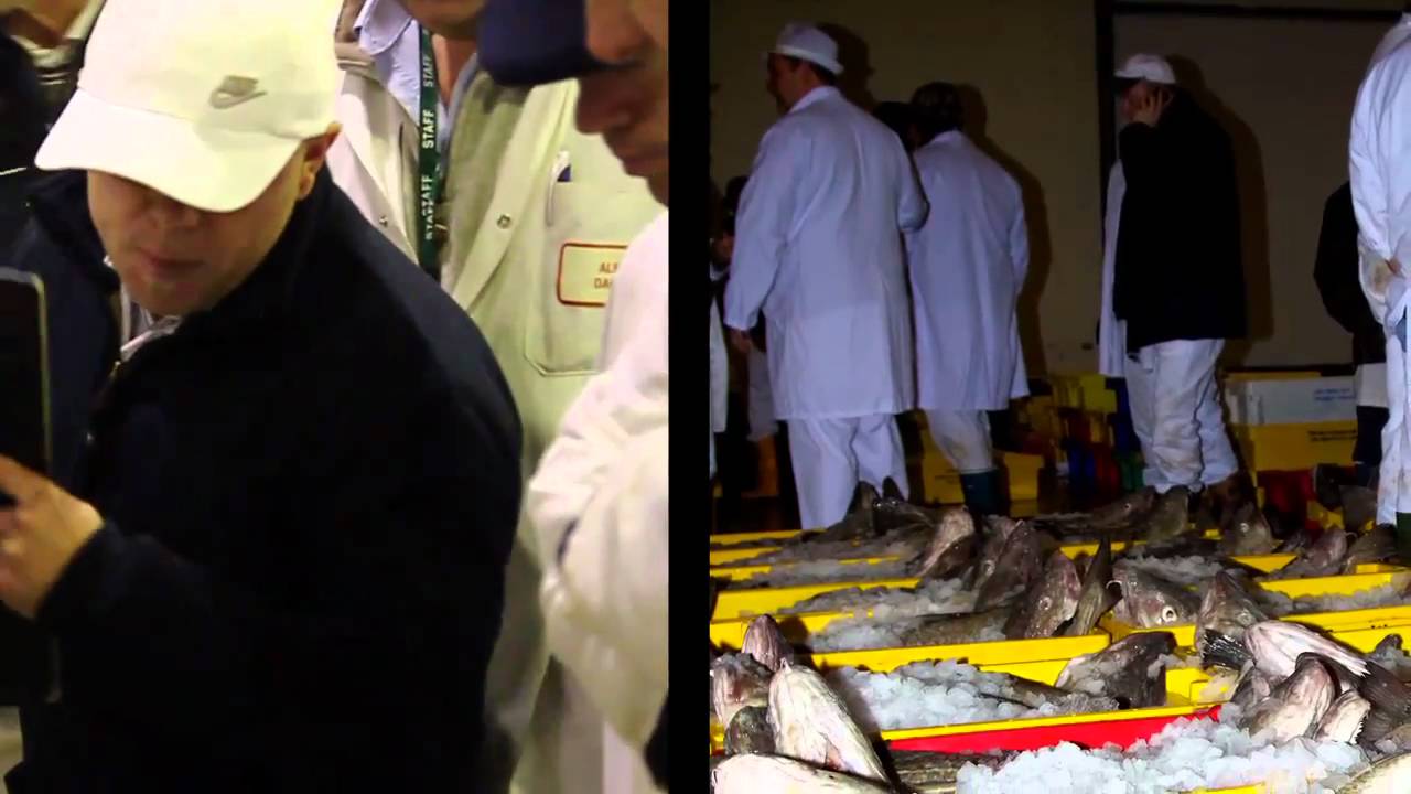 Documentary Photography YouTube