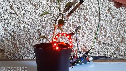 DIY  Plant Monitor WS2812 NEOPIXELS  Arduino