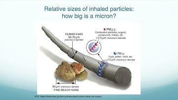 INHALE: Aerosol Deposition in Airways - A Clinicians Guide (Part 1)