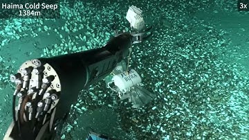 Miniature deep-sea morphable robot