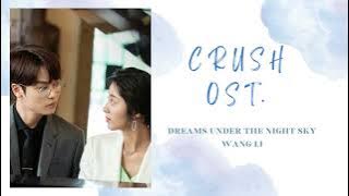 𝐂𝐑𝐔𝐒𝐇 𝐎𝐒𝐓. (原来我很爱你) - 𝒟𝓇ℯ𝒶𝓂𝓈 𝒰𝓃𝒹ℯ𝓇 𝒯𝒽ℯ 𝒩𝒾ℊ𝒽𝓉 𝒮𝓀𝓎 | 夜空下的梦 - Wang Li | 王力