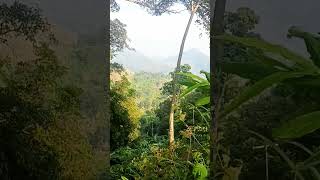 Download Lagu moment terbaik dari setiap keindahan alam #nature #suasanayangindah #traveling MP3