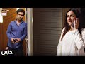 Watch Basit Aur Ayesha Ke Beech Aaya Shak #Habs #FerozeKhan #UshnaShah Online In Hd