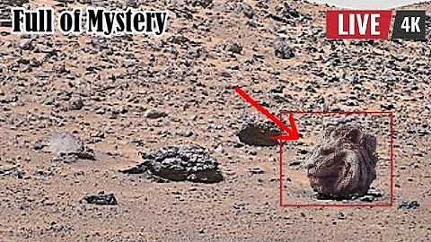 NASA's Mars Perseverance Rover Sent Latest Shocking 360° Footage of Mars 4k Video: 1594