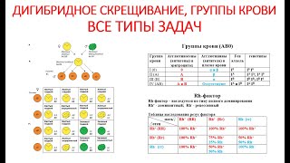 ДИГИБРИДНОЕ СКРЕЩИВАНИЕ. ГРУППЫ КРОВИ. ВСЕ ТИПЫ ЗАДАЧ,