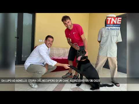 DA LUPO AD AGNELLO: STORIA DEL RECUPERO DI UN CANE AGGRESSIVO | 01/08/2025