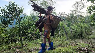 orphan boy khai,with special survival skills and nutritious food from wild chicken meat. ❤❤