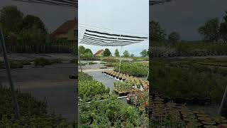 Pilotprojekt Agri-PV am Kaiserstuhl: Start einer Erlebnisanlage zur Pflanzenbeobachtung