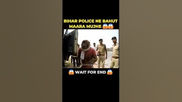 #aivlogger​ #monkeyvideo​ #monkey​ vlogs,#kedarnath_monkey_vlog​ ,#vairl_monkey​ vlog #monkeys