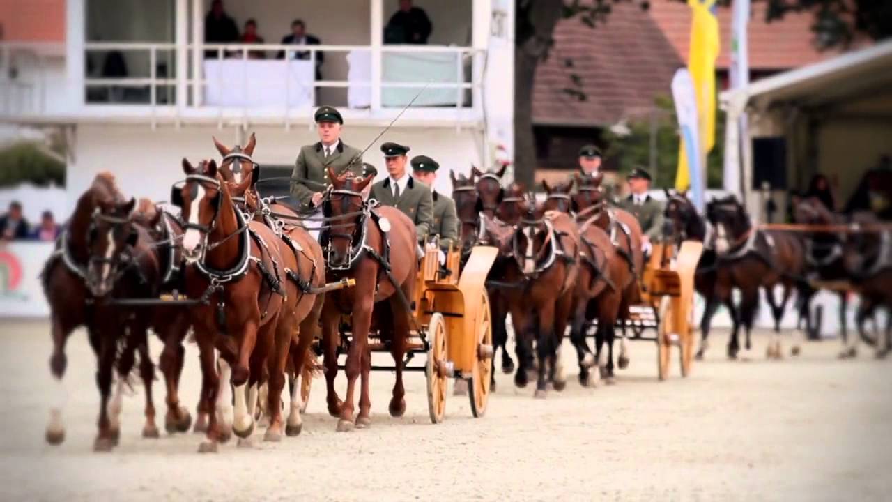 Landgestüt Redefin Imagefilm