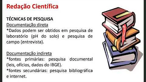 Quais são as técnicas da pesquisa?