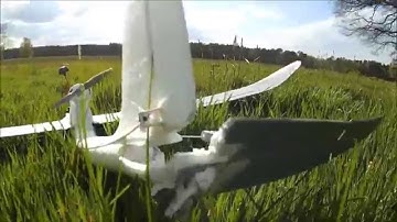 RotorBeast Shorty #3 (EasyStar 2 Highspeed Crash)