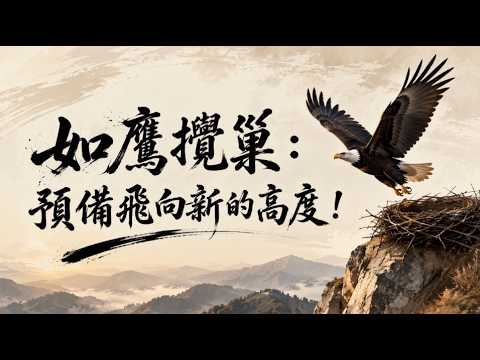 如鷹攪巢，飛向新的高度！