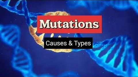 Mutations (Causes & types of mutations) Genetic Mutations #molecular_biology #dna #mutations