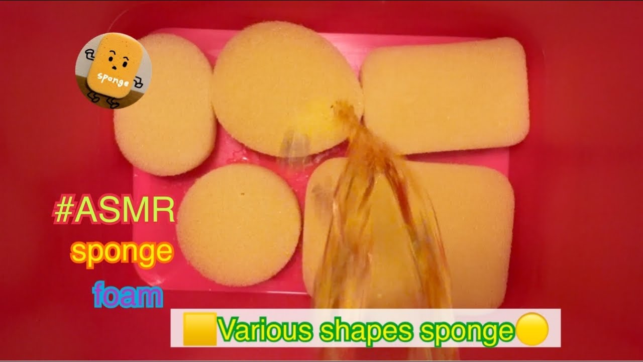 《ASMR》🟨色んな形のスポンジを泡だらけにする💛 Various shapes sponge shampoo💖#asmr #spongerinse #sponge #foam 