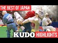 Kudo Highliths: o melhor do Japão / arte marcial full contact