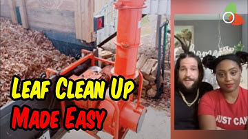 Leaf Clean Up Made Easy