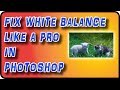 How to Correct White Balance in Photoshop - Stock Photography Ep. 9