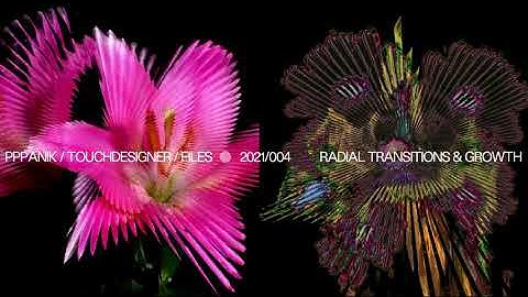 PPPANIK TOUCHDESIGNER PROJECT FILES 2021-004 RADIAL TRANSITIONS & GROWTH