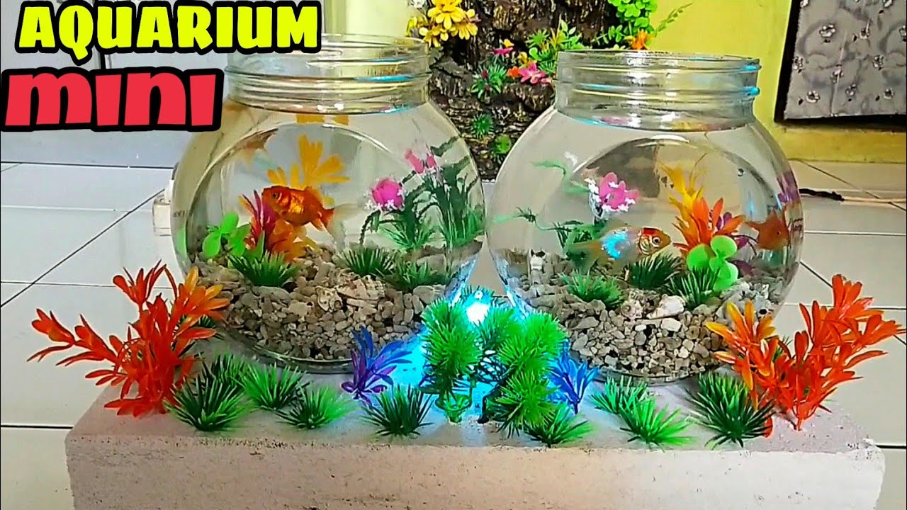 Aquarium 1