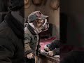 Authentic Shaanxi Dog Couple's Daily Spats - Unmissable Dialect &amp; Laughter