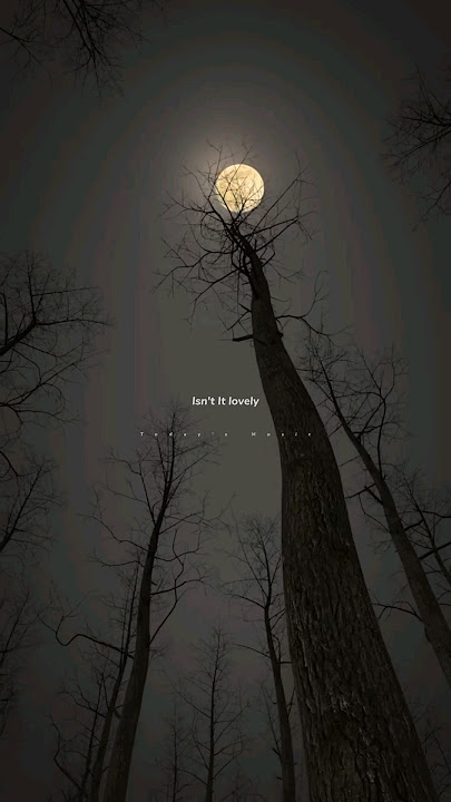 Billie Eilish , Khalid - lovely [Lyrics]   hello welcome home | Aesthetic lyrics status | #shorts