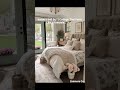 Inside This Charming 540 Sq Ft Tiny Cottage Part 1 🏡✨ | Cozy Living with Timeless Style #tiny