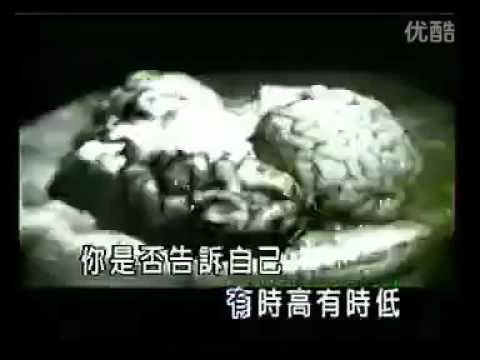 Life's a struggle伴奏