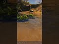 Sprints #xbox #ark #steam #water #pc #pvp #android #gameplay #walkthrough #survival #quiz #wood