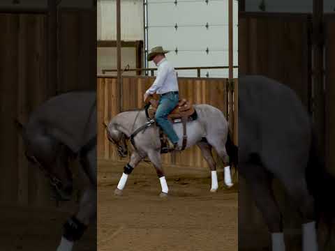 Fencing and Rundowns With Prada