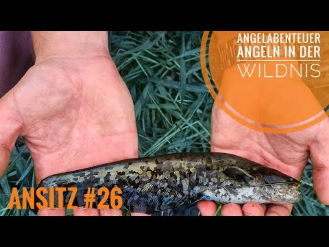 Angelabenteuer Ansitz #26