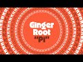 Ginger Root — “Pi”