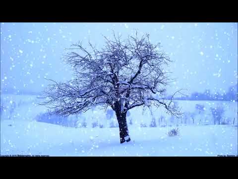 უულამაზესი ლექსი \"თოვლი\"/uulamazesi leqsi \"tovli\"