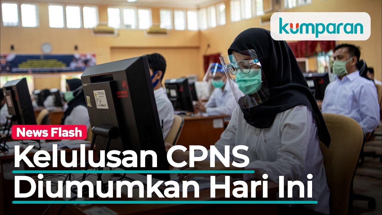 Kelulusan CPNS 2019 Diumumkan Hari Ini, Rekrutmen PNS 2020