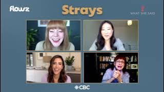Strays, the First Sitcom Set in The Hammer! (Hamilton, Ontario)