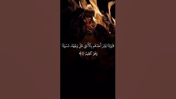 سورة النحل راحة نفسية #قرآن #اكسبلور #لايك بصوت القارئ محمد ابوبكر