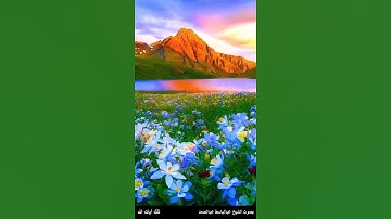 كيف تكفرون بالله وكنتم أمواتا فأحياكم ثم يميتكم ثم يحييكم .- سورة البقرة آية 28 - عبدالباسط عبدالصمد