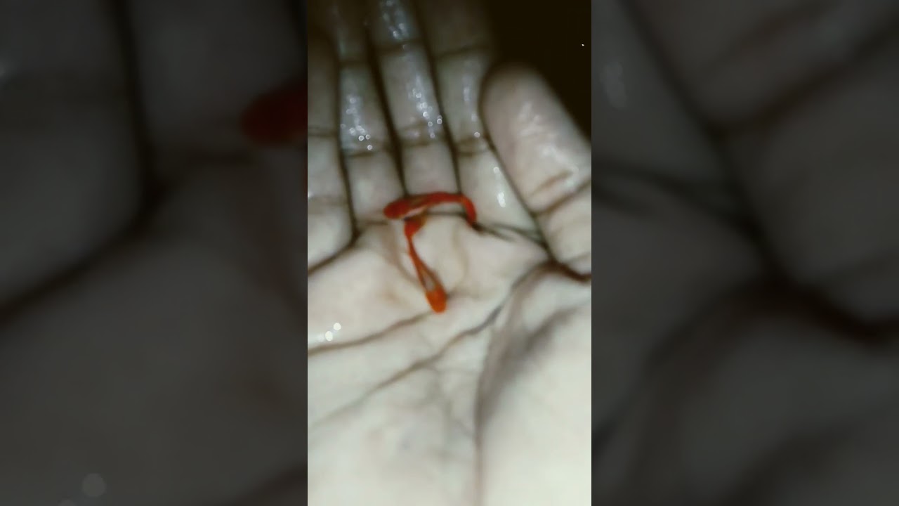 my small farm setup ❤