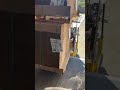 Caught this guy stealing boxes!!📦 #tnbnaturals #tnb #tnbnaturalsbrand #allnatural #gardenproducts
