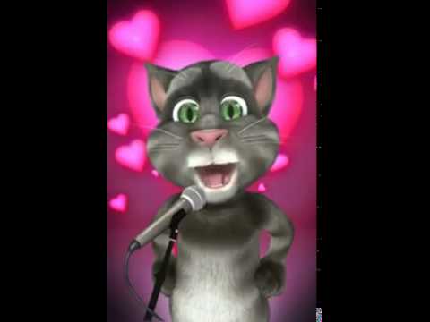 Gatito que habla - YouTube