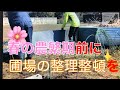 【自然栽培】農閑期の今ならできる圃場整備