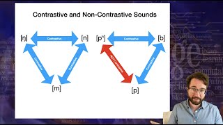 Introduction to Linguistics: Phonology 1 by Language Science 16,507 views 2 years ago 41 minutes