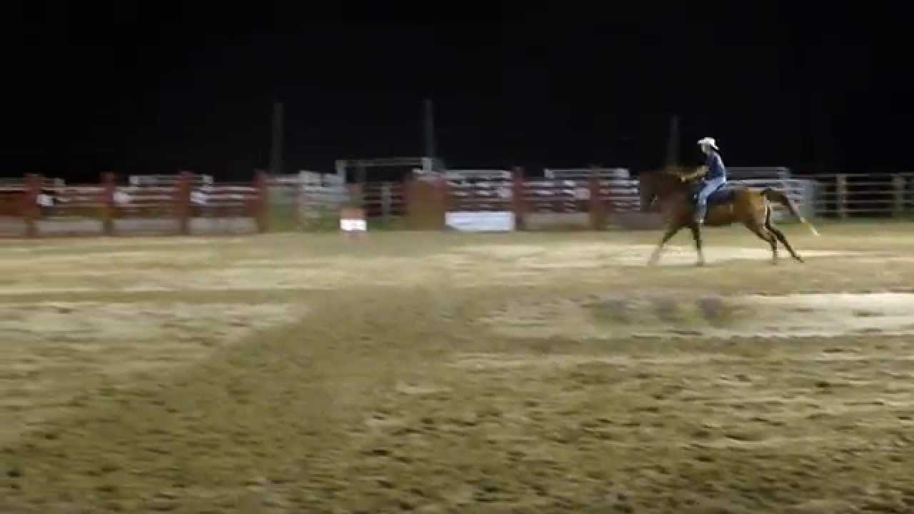 Rex & Jet ~ 2nd time loping Pattern 8-26-10 - YouTube
