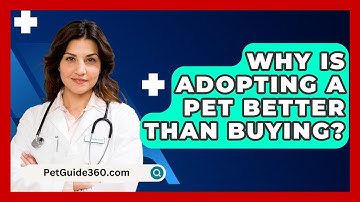 Why Is Adopting a Pet Better Than Buying? - PetGuide360.com