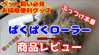 【商品レビュー】ぱくぱくローラー 換毛期 ペット飼い必見便利お掃除　大掃除便利アイテム！ぶっつけ本番猫と一緒に使って実感商品レビュー 【保護猫】