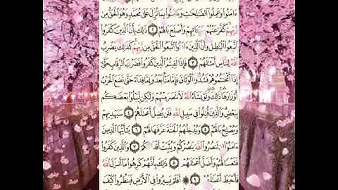 سورة  محمد  بصوت الشيخ فارس عباد تلاوة تأخذك لعالم اخر 🌷🌷🌷🌷
