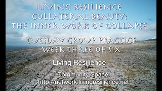 Collateral Beauty Course - Tuesday Group Practice S3 - APRIL 23